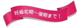 妊娠初期~後期まで!