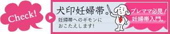 プレママ必見!妊婦帯入門　犬印妊婦帯　妊婦帯へのギモンにおこたえします！