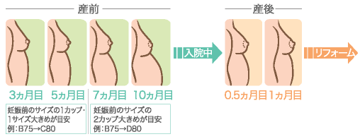 妊娠 胸 大きくなる