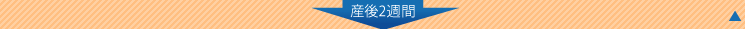 産後2週間